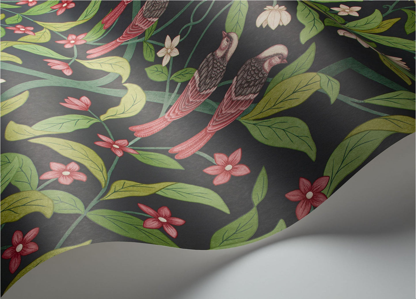 Cole & Son Jasmine & Serin Symphony - interior