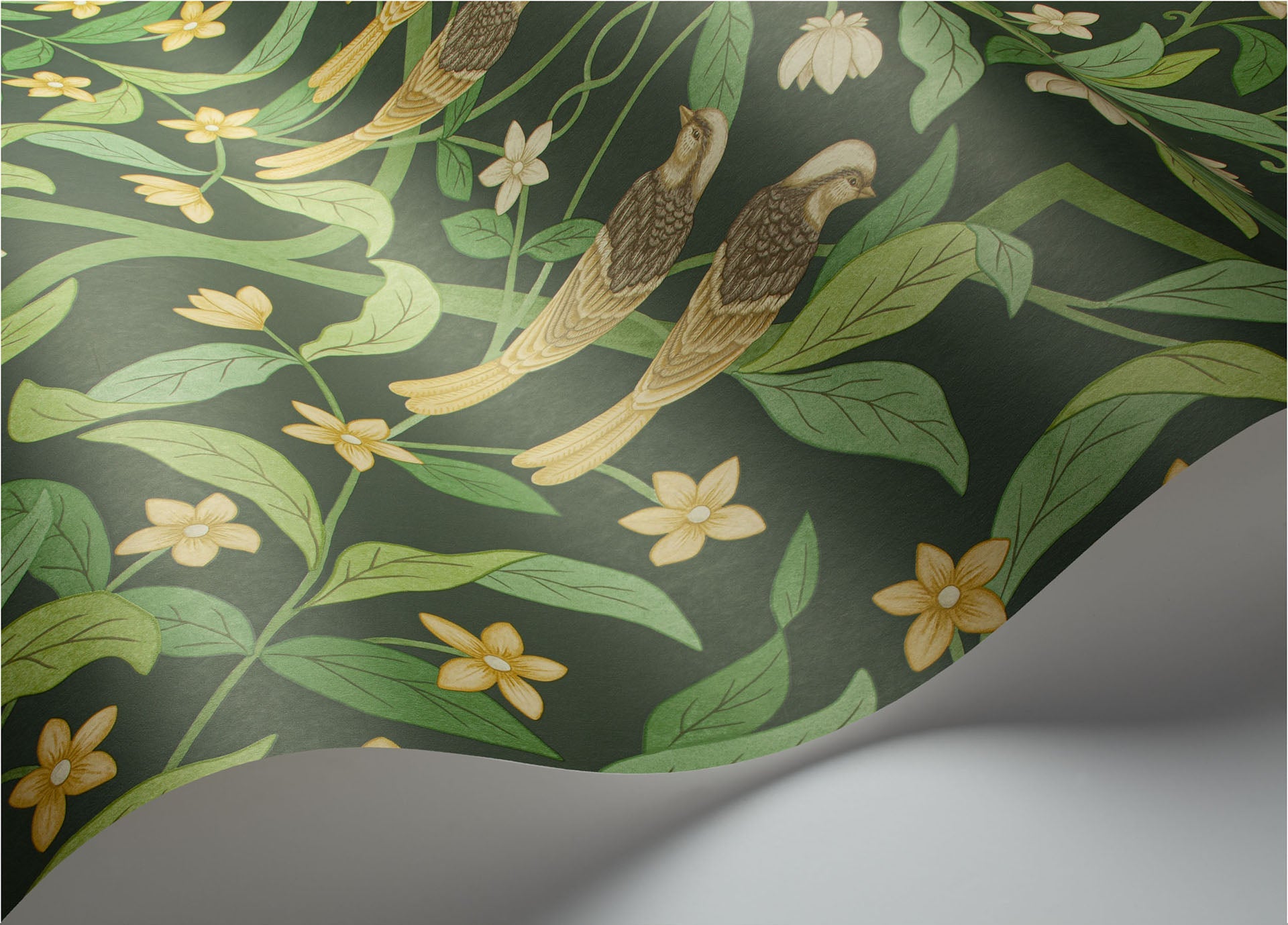 Cole & Son Jasmine & Serin Symphony - interior