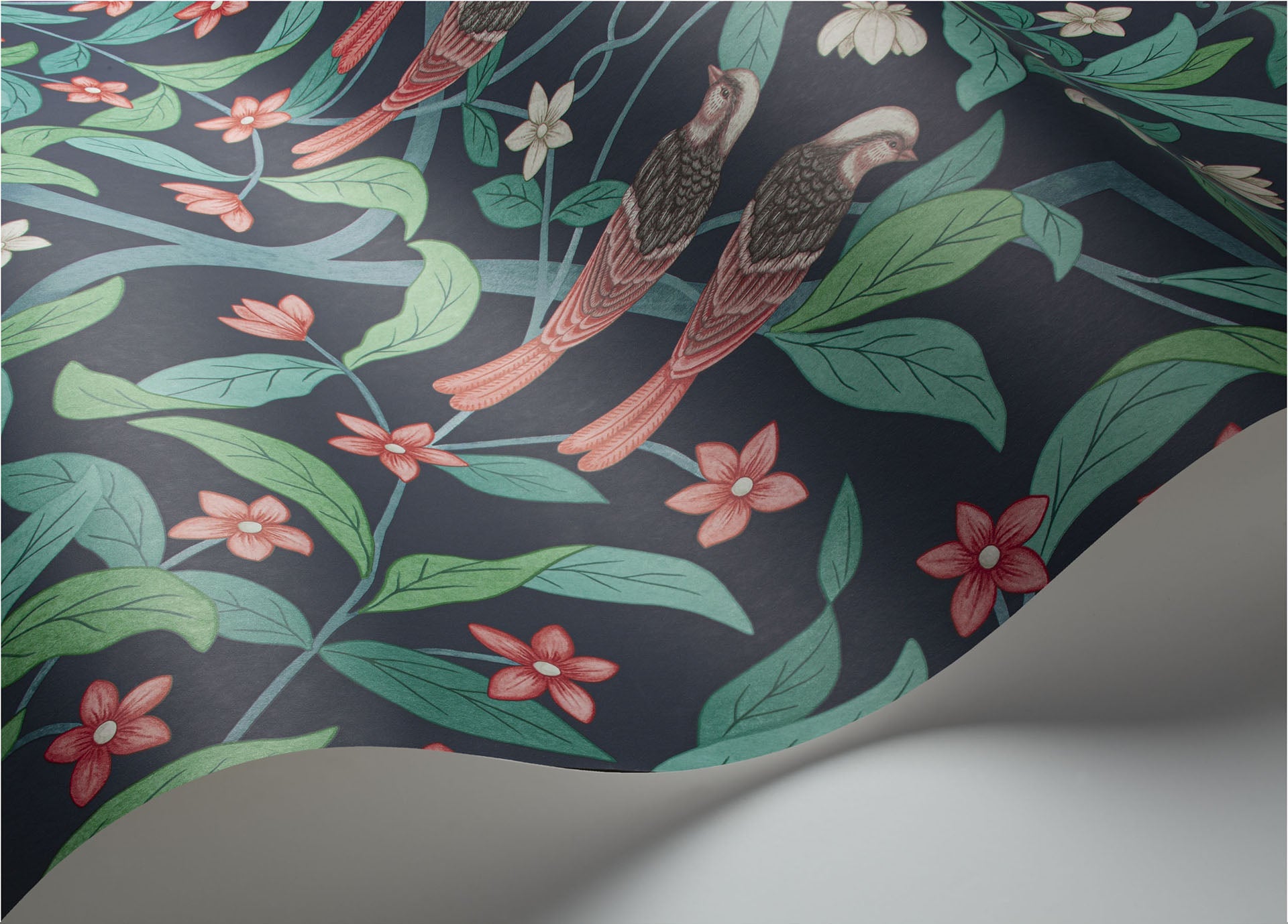 Cole & Son Jasmine & Serin Symphony - interior