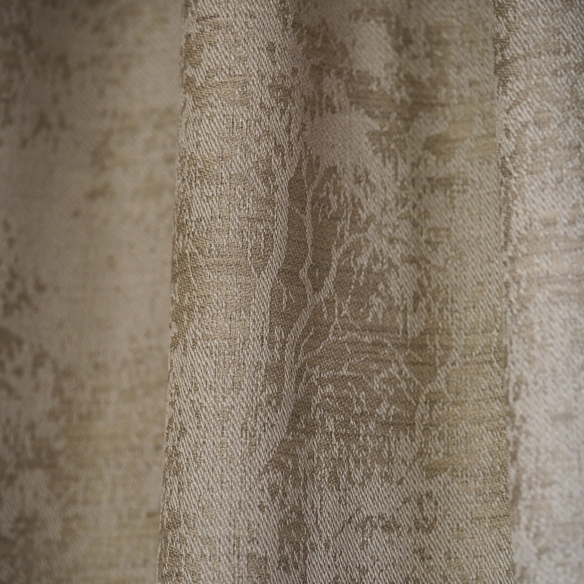 Lizzo | Bosquet - interior