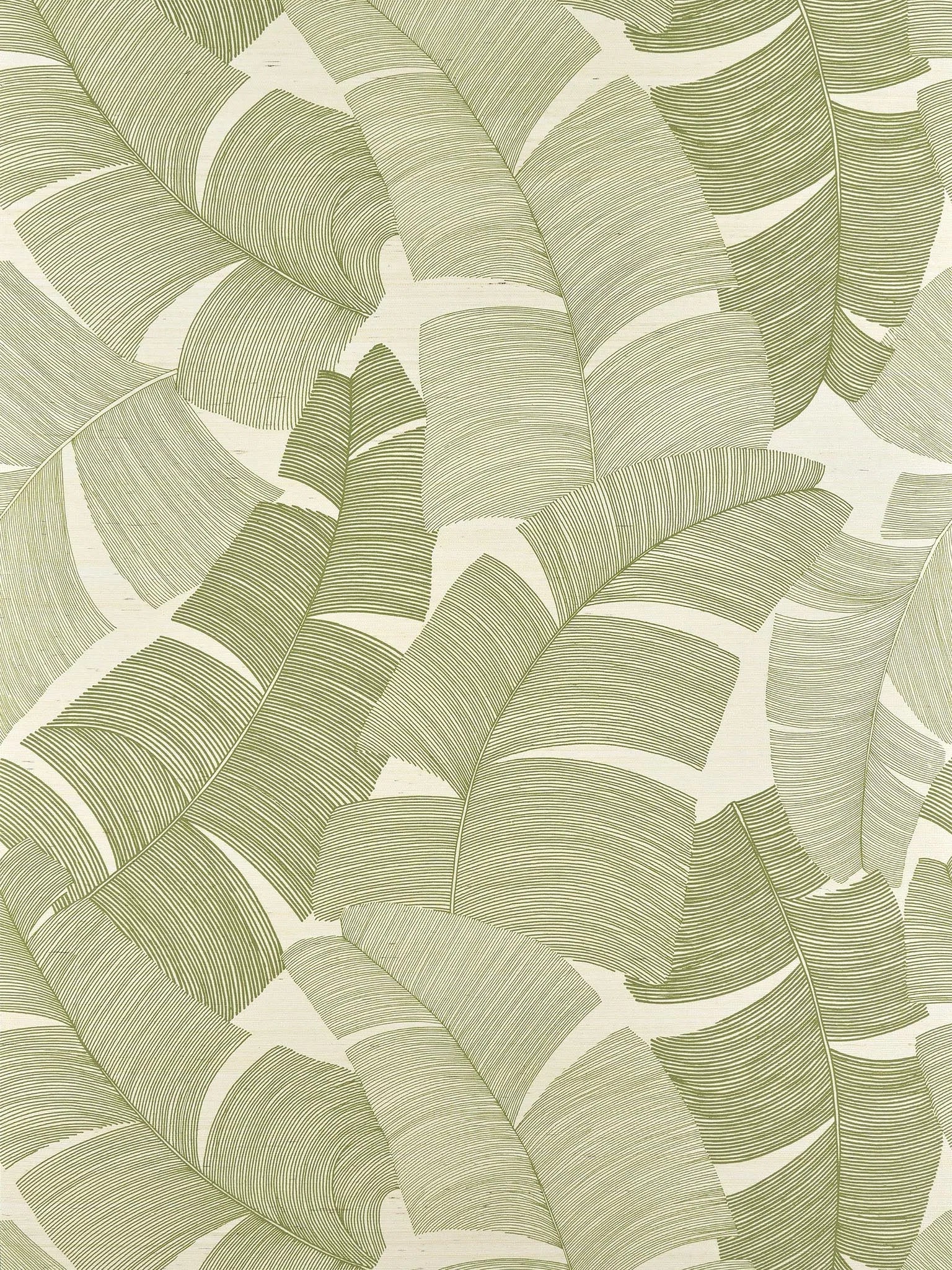 Pierre Frey Tikehau - Palmier
