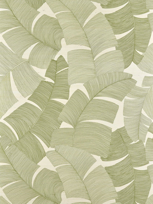 Pierre Frey Tikehau - Palmier
