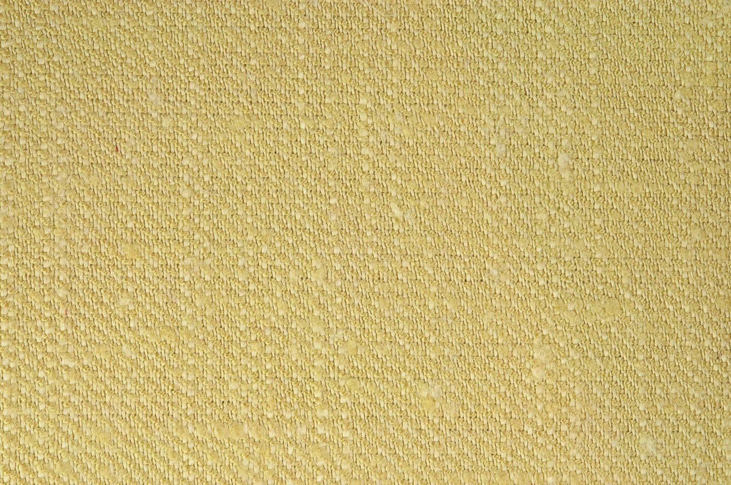 Pierre Frey Croisé Collobrières - Champagne