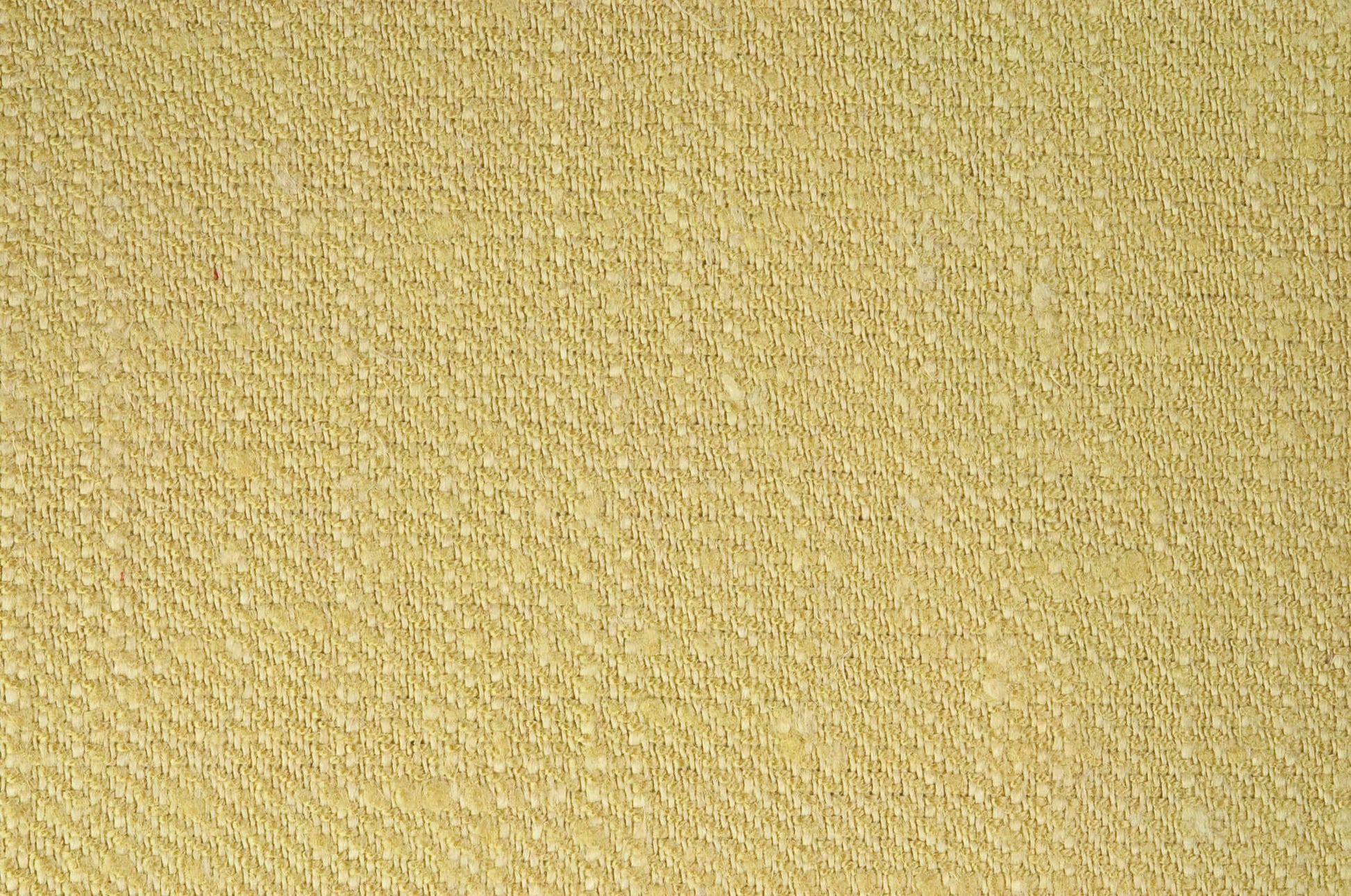 Pierre Frey Croisé Collobrières - Champagne