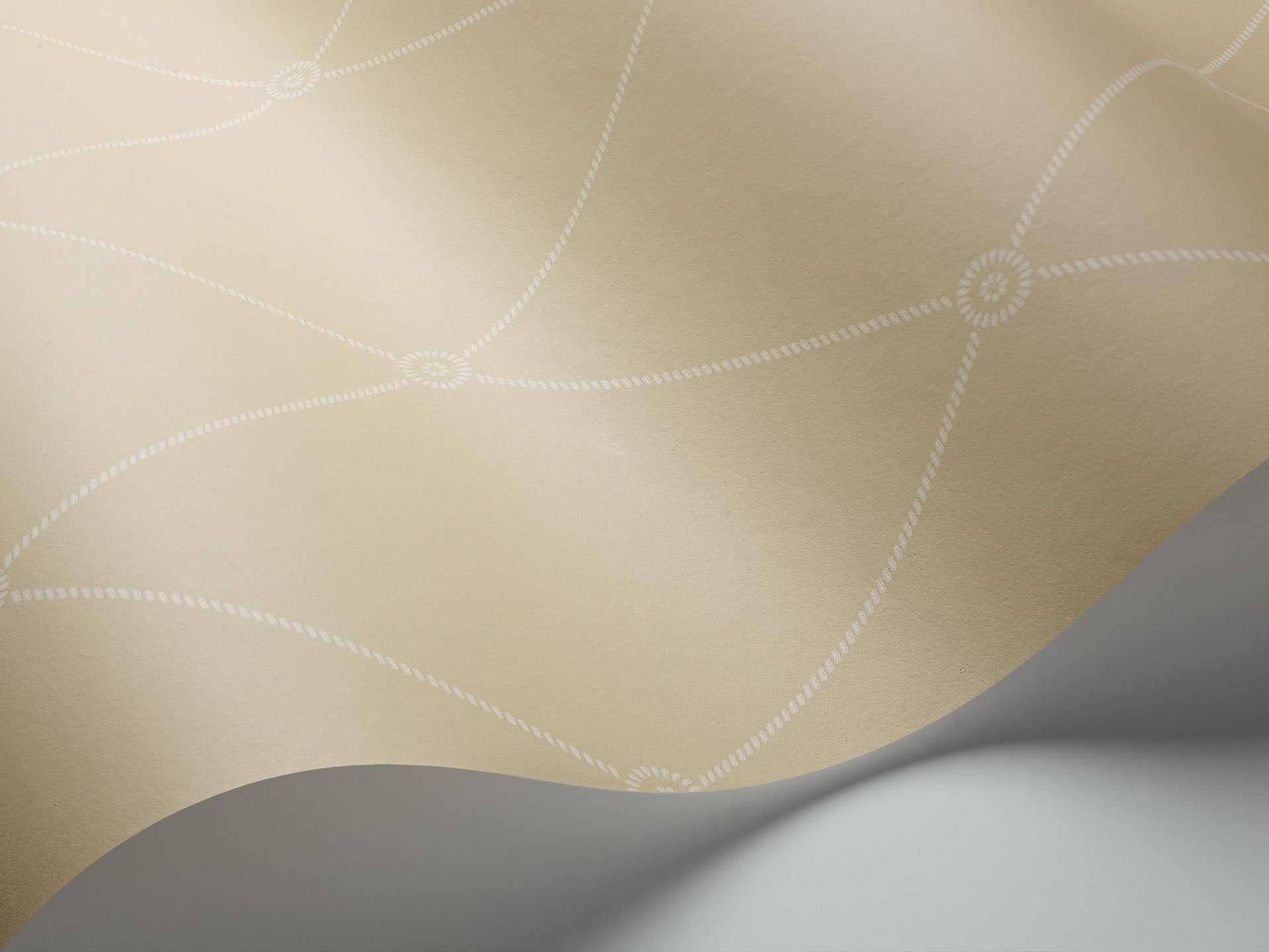 Cole & Son Large Georgian Rope Trellis - interior