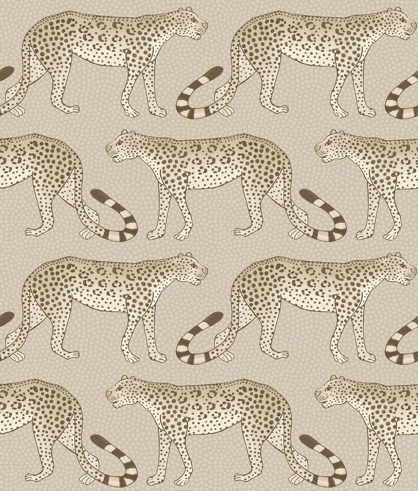 Cole & Son Leopard Walk - Safari on Taupe