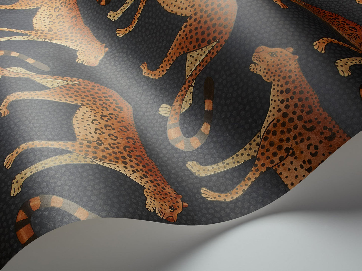 Cole & Son Leopard Walk - interior