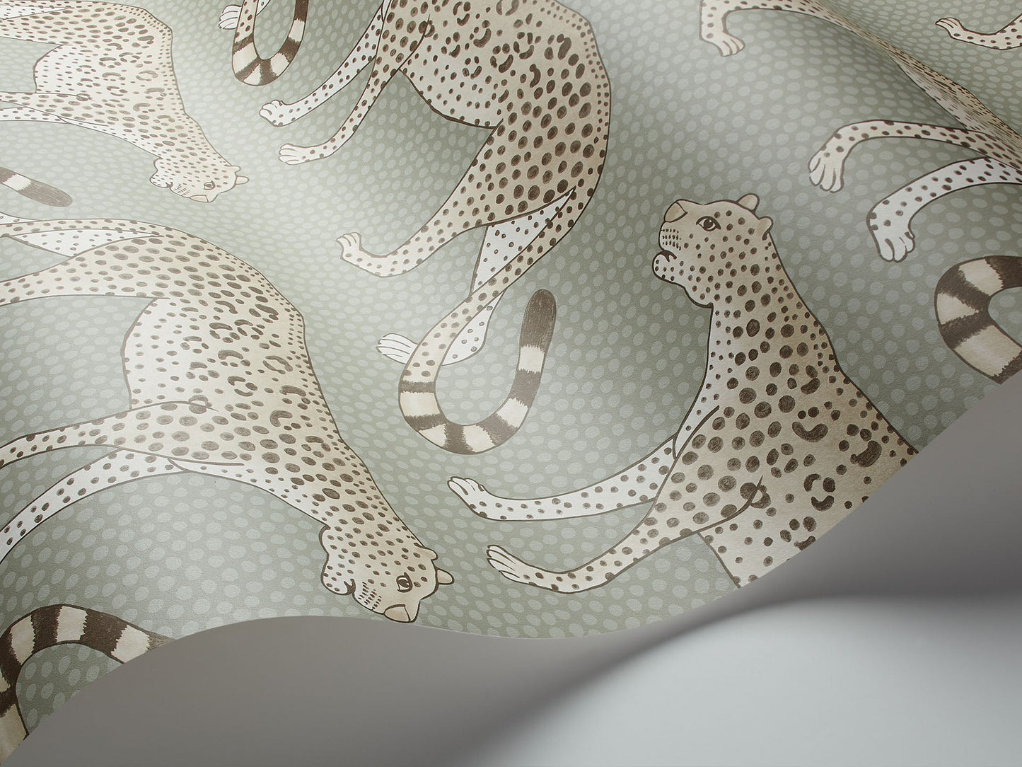 Cole & Son Leopard Walk - interior