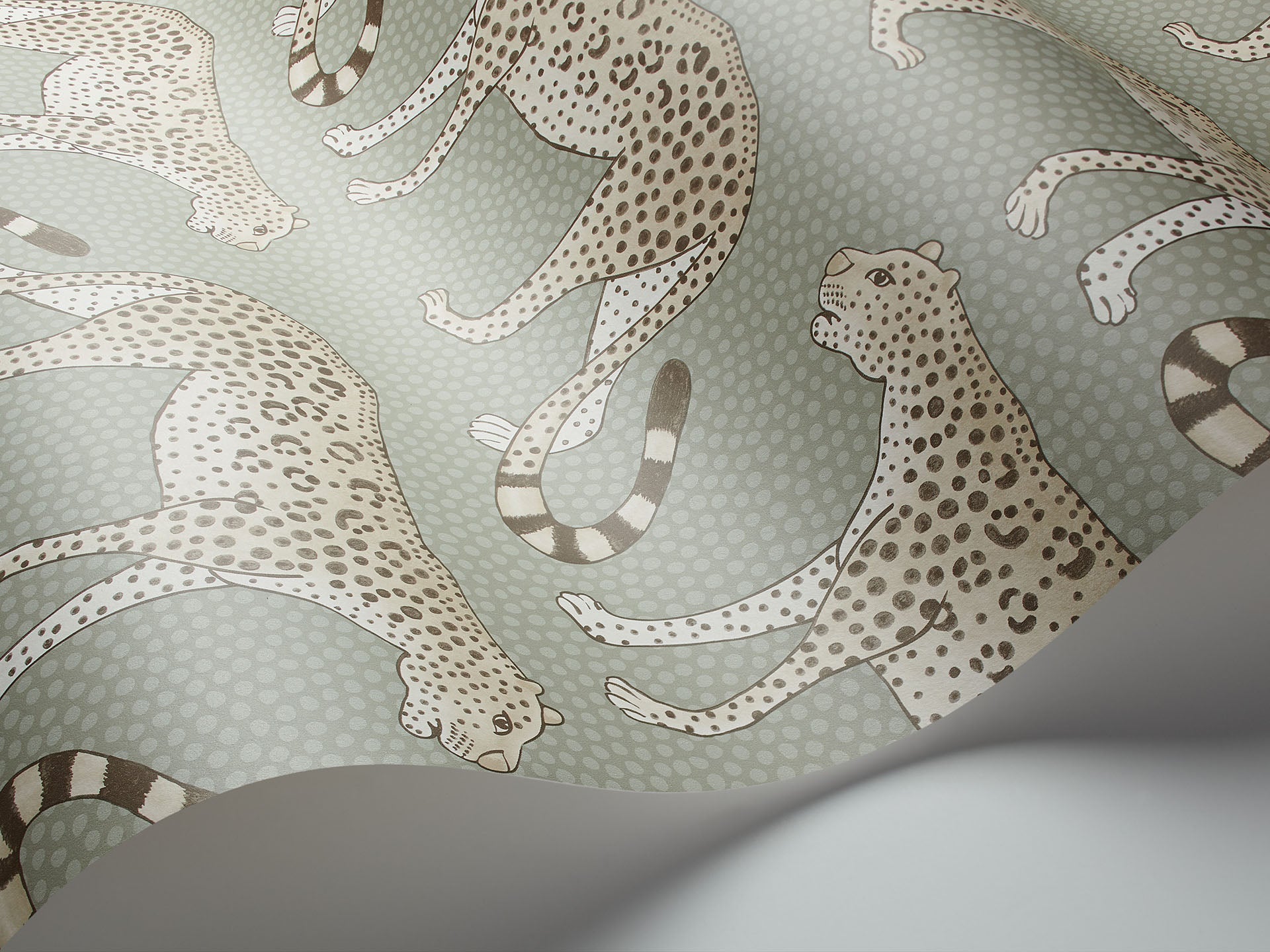 Cole & Son Leopard Walk - interior