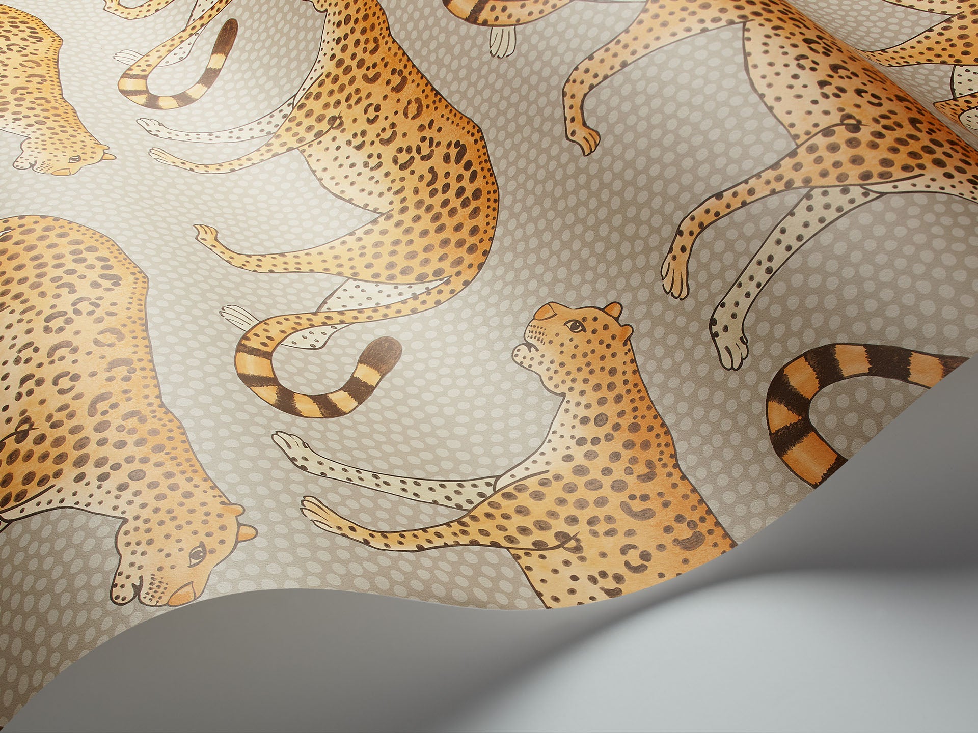 Cole & Son Leopard Walk - interior
