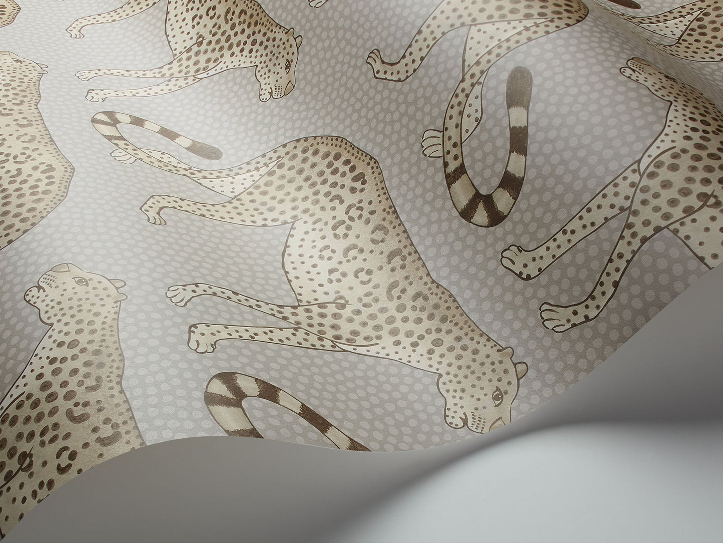 Cole & Son Leopard Walk - interior