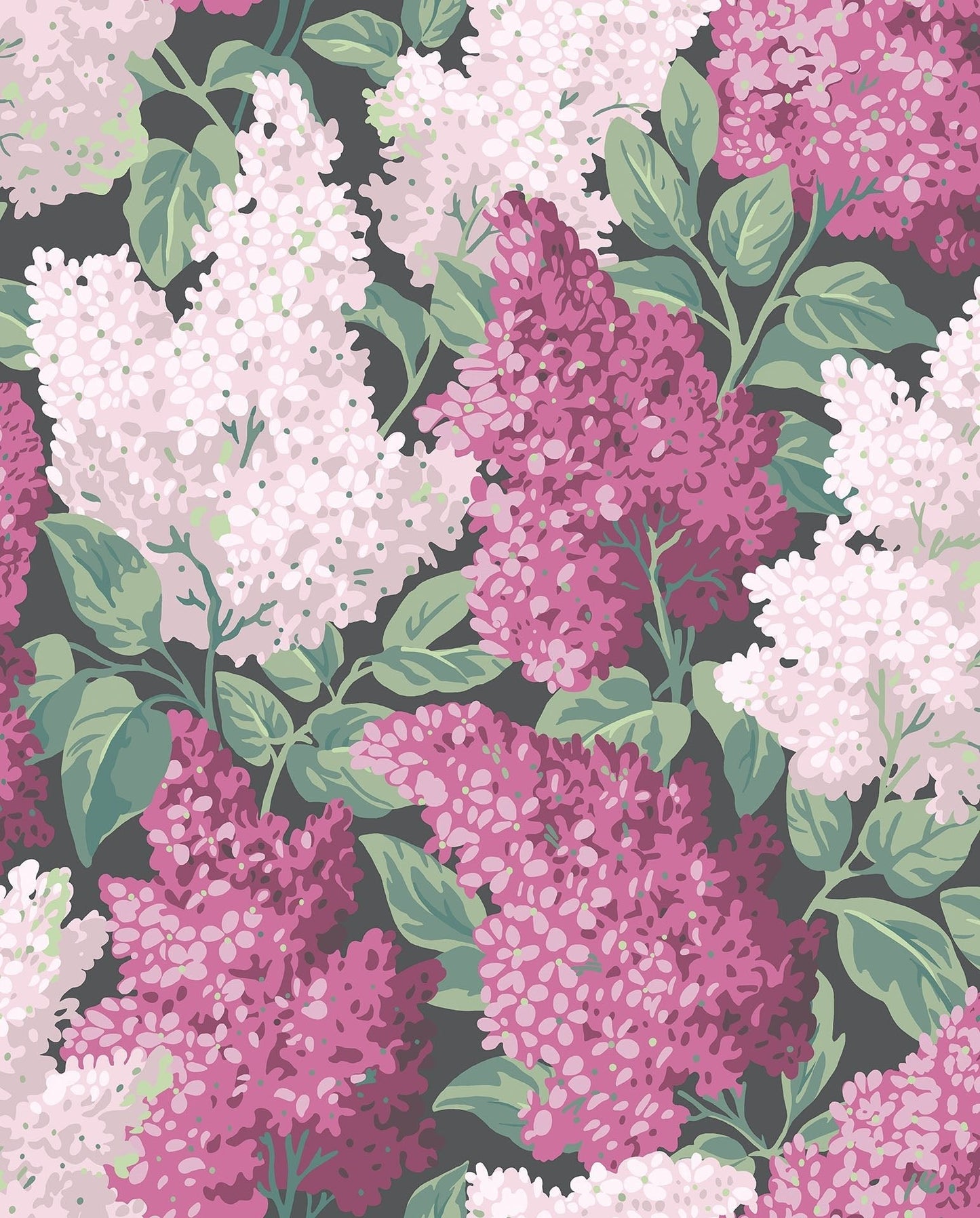 Cole & Son Lilac wallpaper - Magenta & Blush on Charcoal