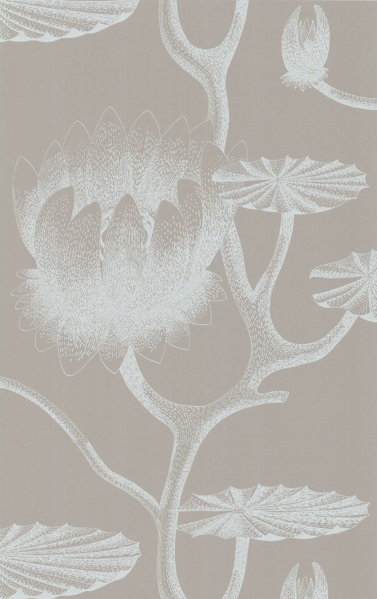 Cole & Son Lily wallpaper - Chalk on Taupe