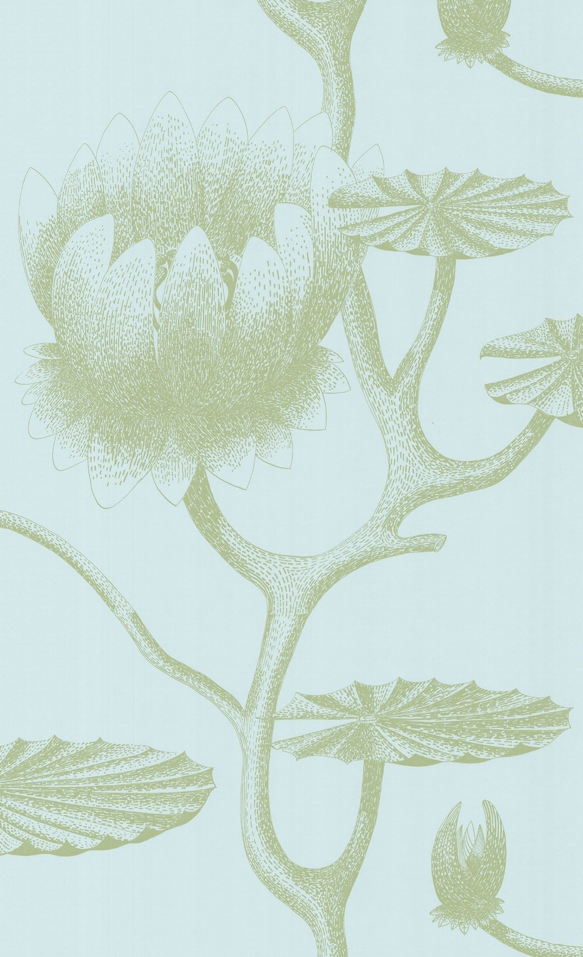 Cole & Son Lily - Olive Green on Seafoam