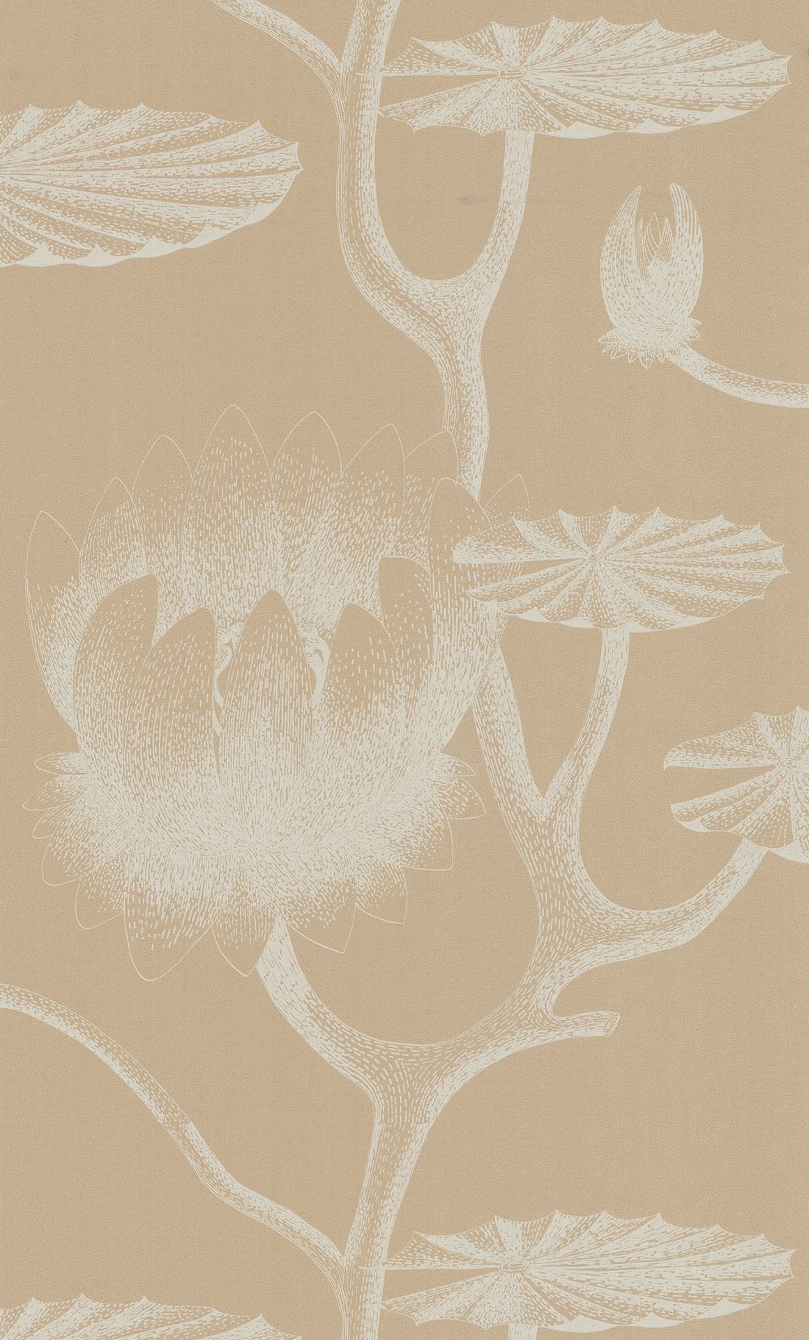 Cole & Son Lily - Parchment on Sand