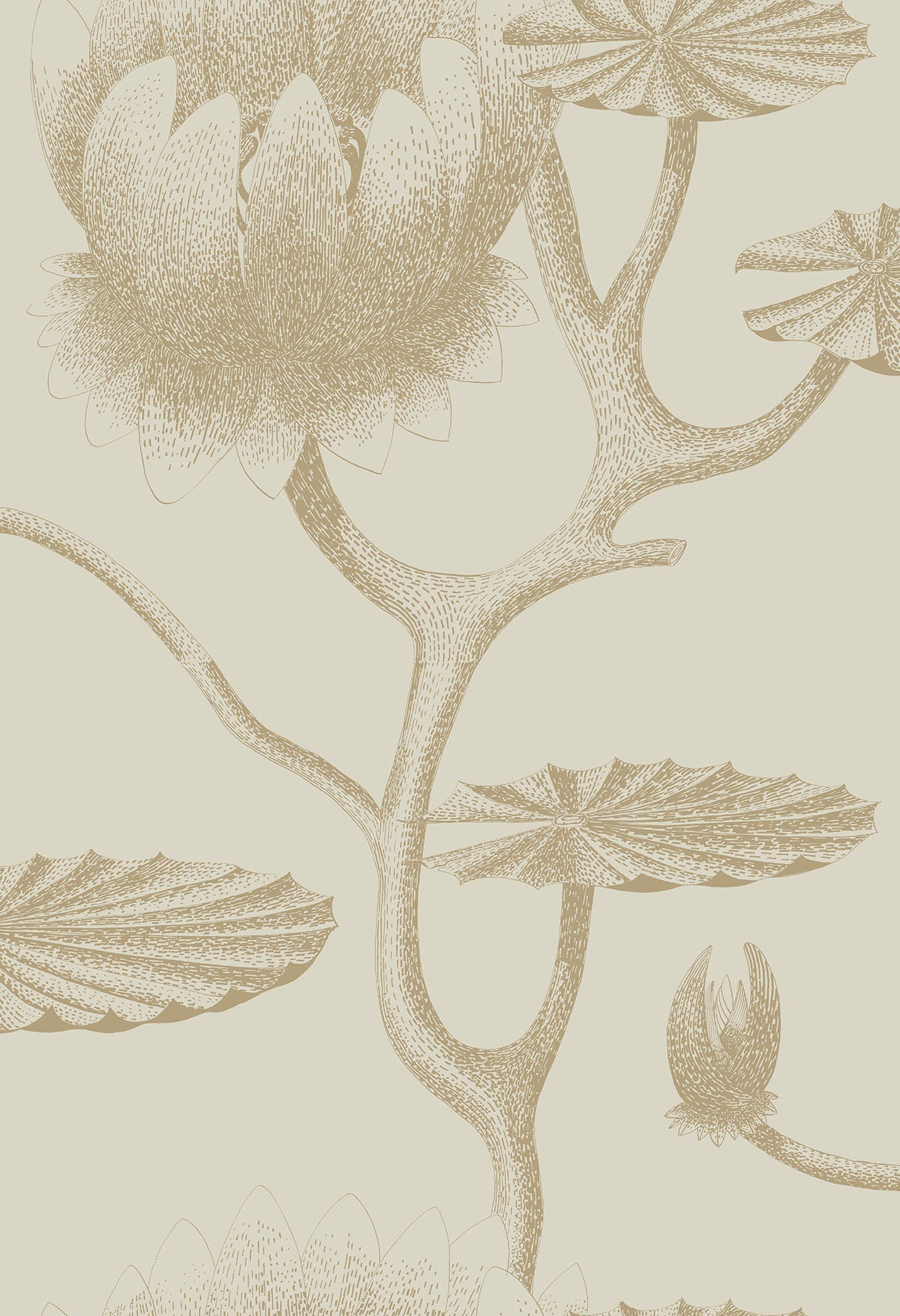 Cole & Son Lily - Metallic Gold on Oat