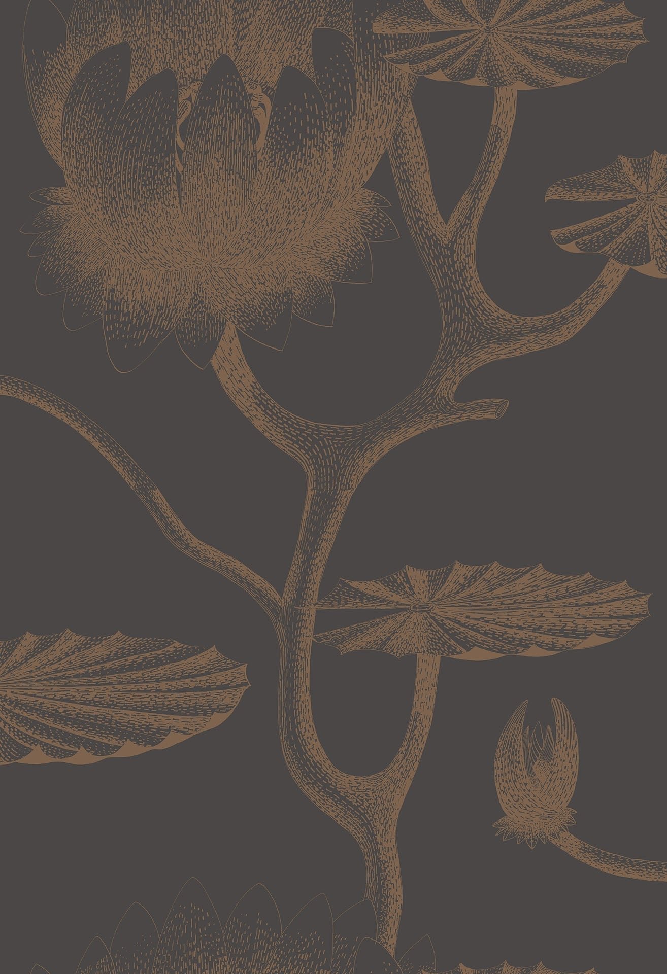 Cole & Son Lily - Metallic Bronze on Soot