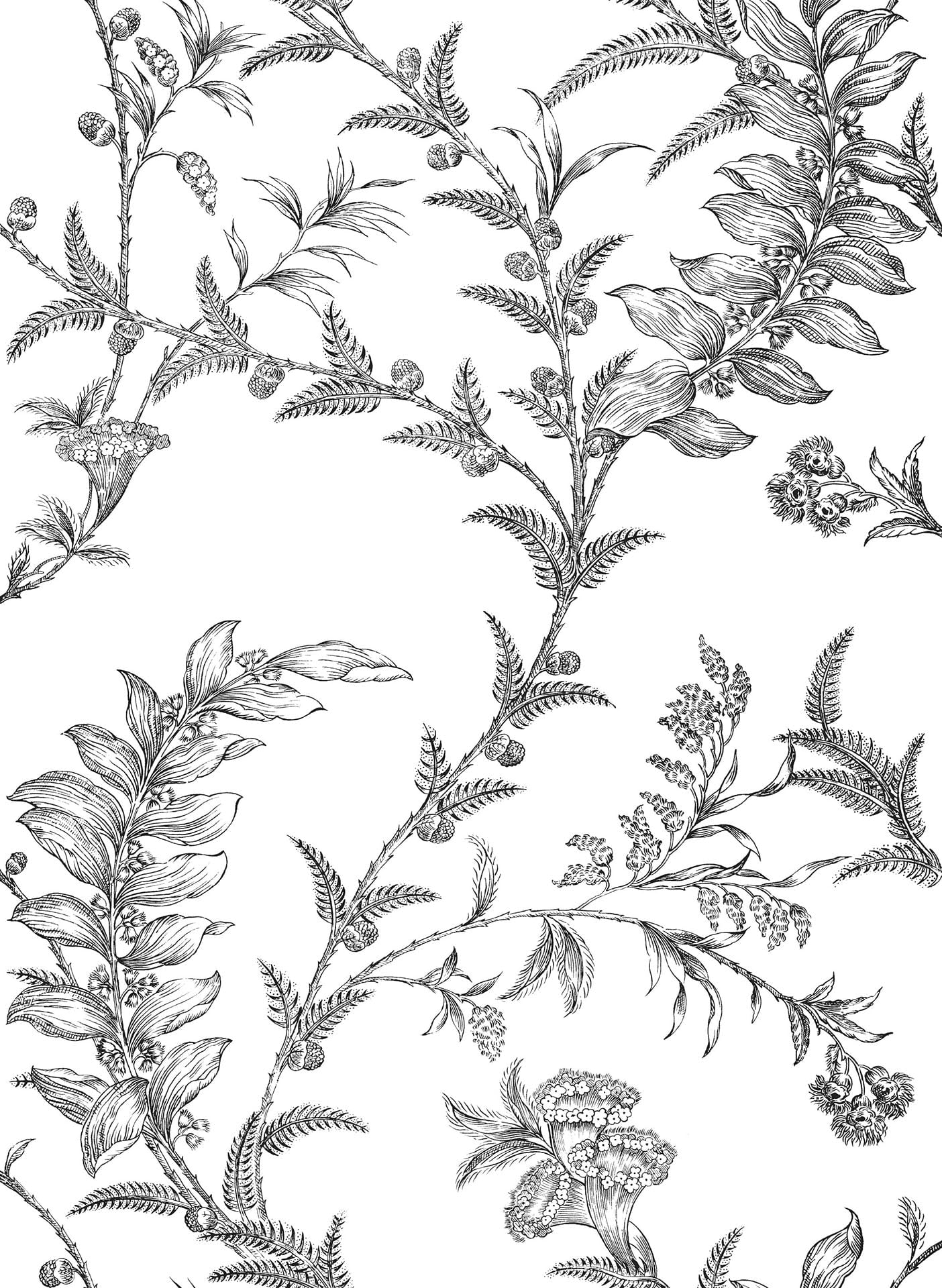 Cole & Son Ludlow - Black on White