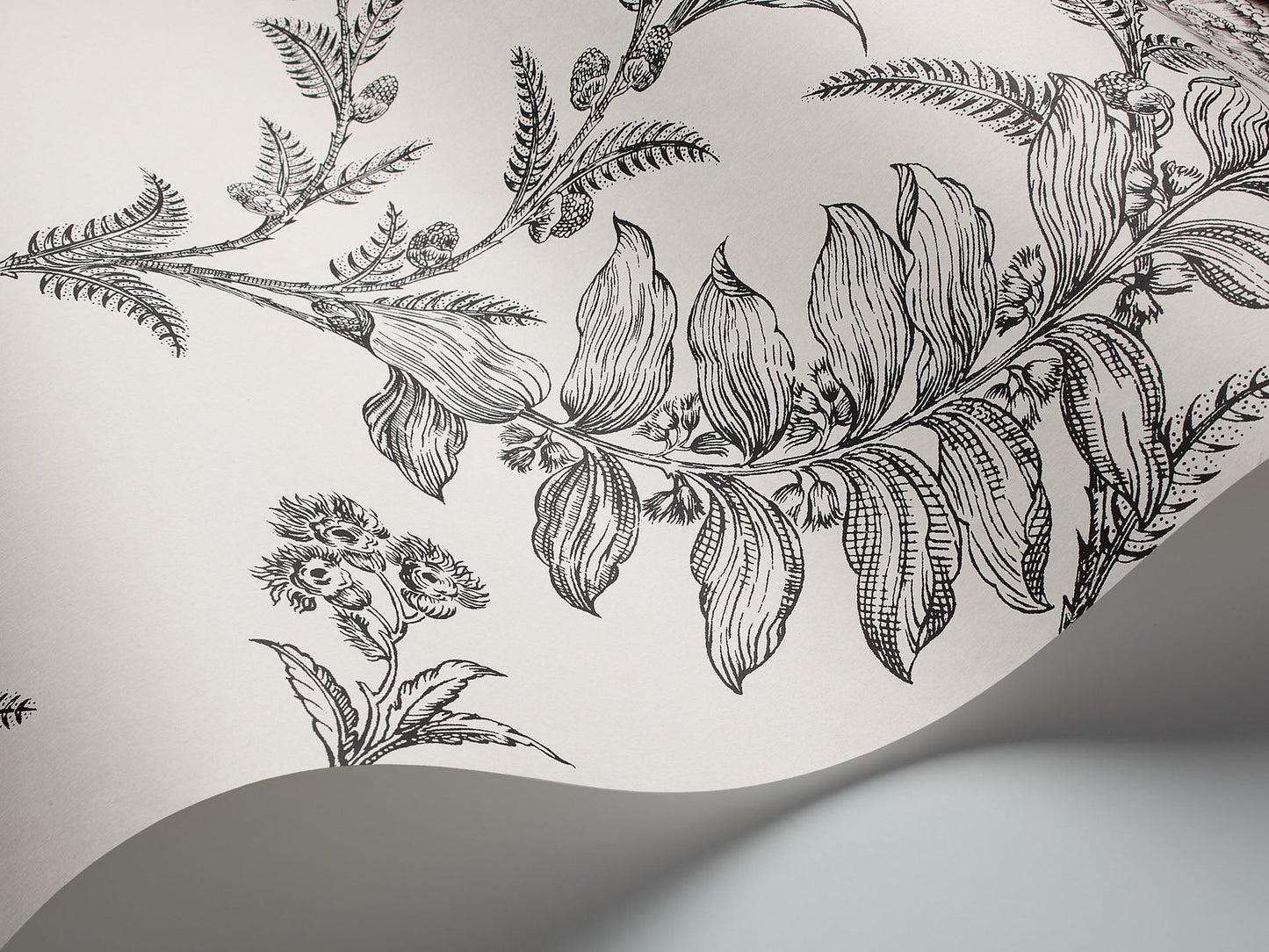 Cole & Son Ludlow - interior