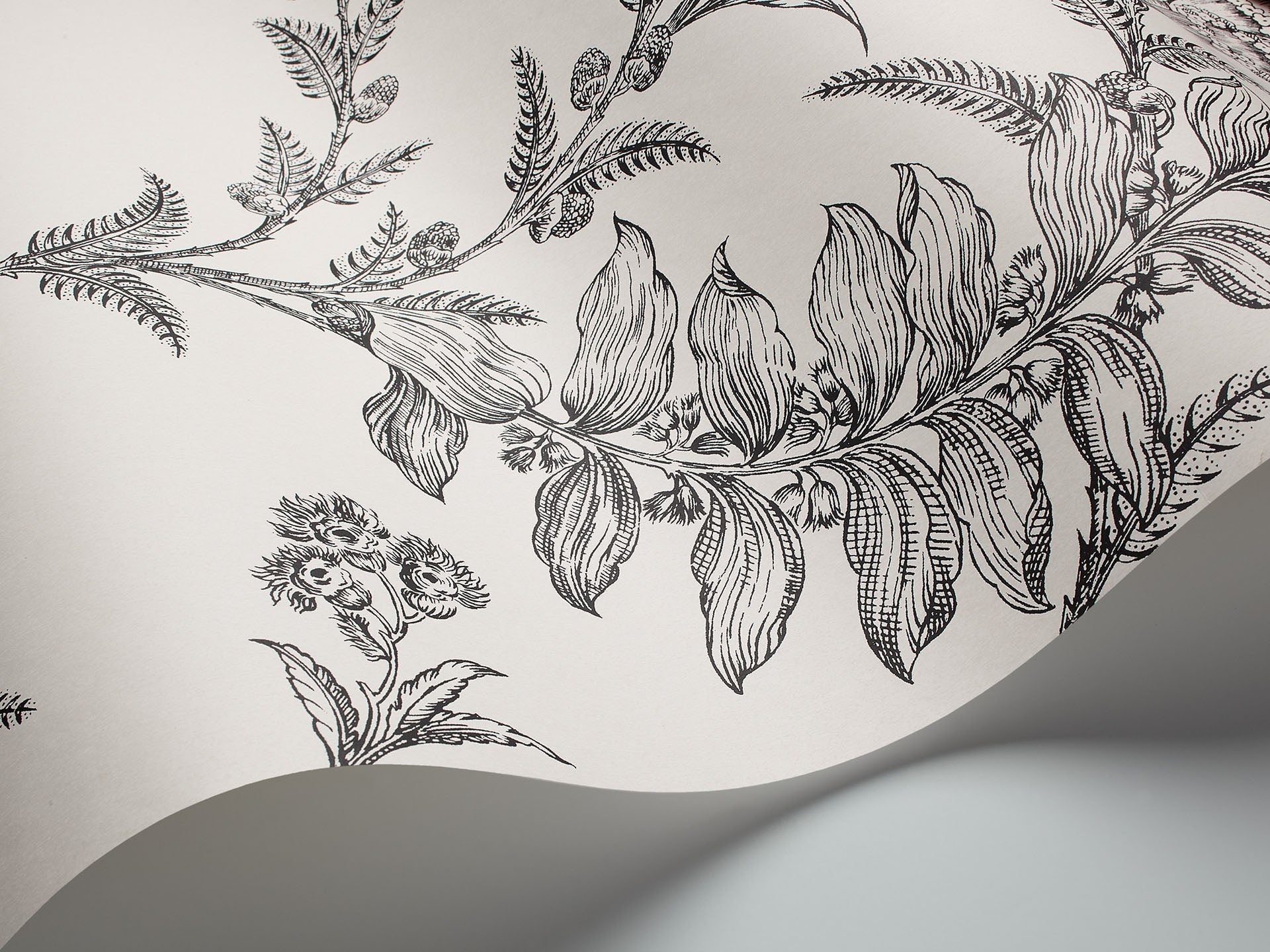 Cole & Son Ludlow - interior