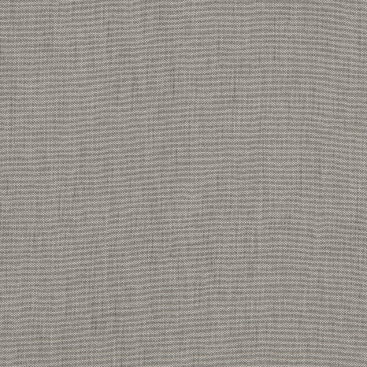 Mark Alexander Retro Silver Birch fabric