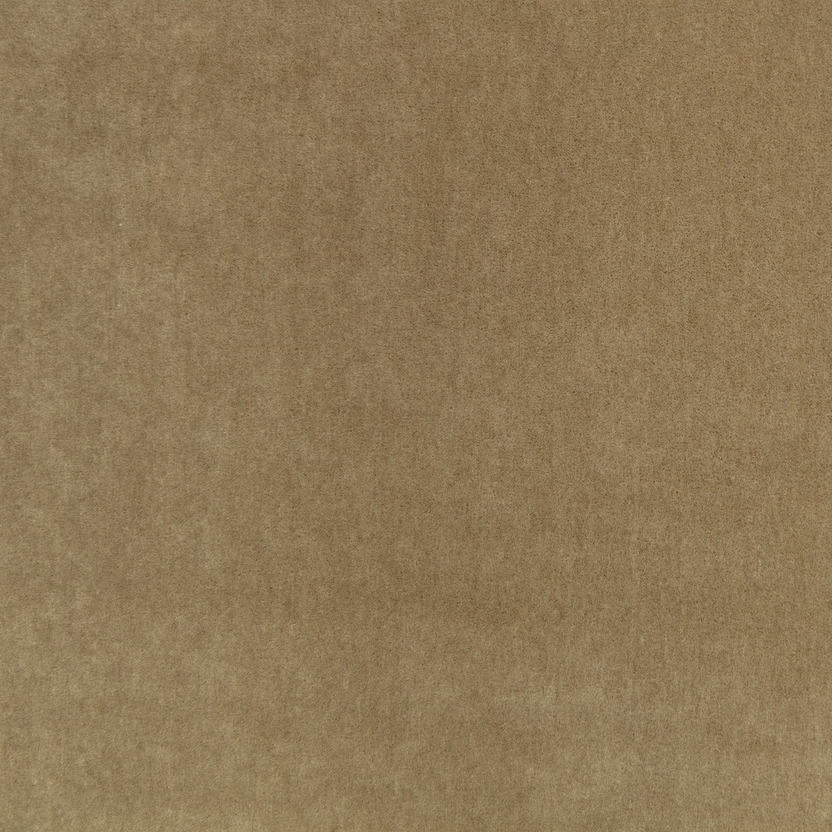 Mark Alexander Plush Hazel fabric