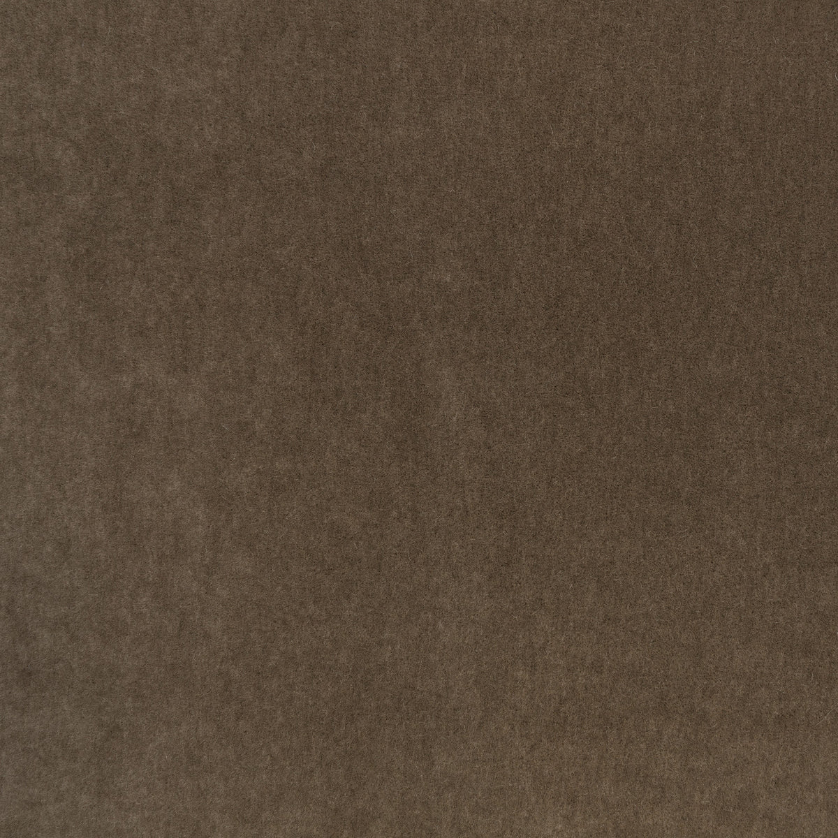 Mark Alexander Plush Chocolate fabric