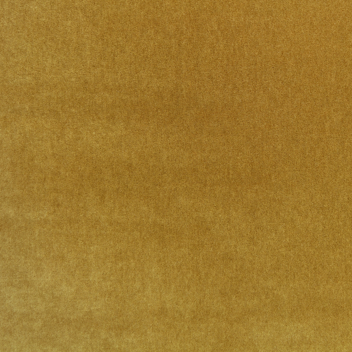 Mark Alexander Plush Ochre fabric