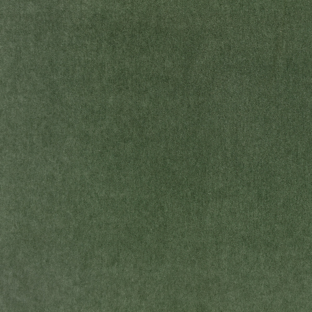 Mark Alexander Plush Verde fabric
