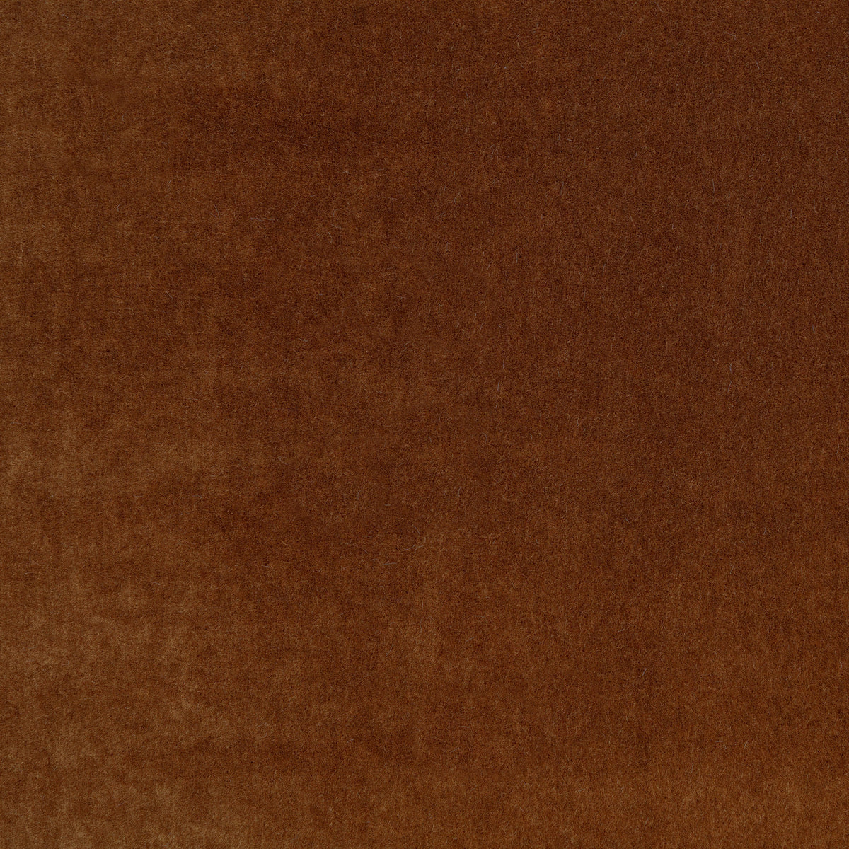 Mark Alexander Plush Sienna fabric