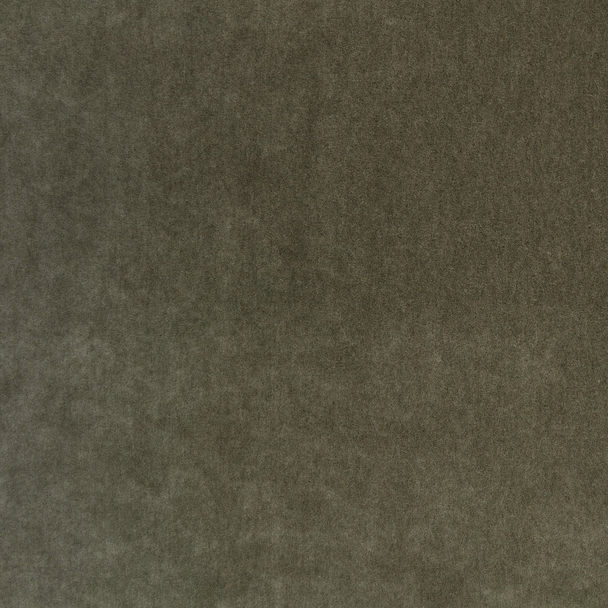 Mark Alexander Plush Heritage fabric