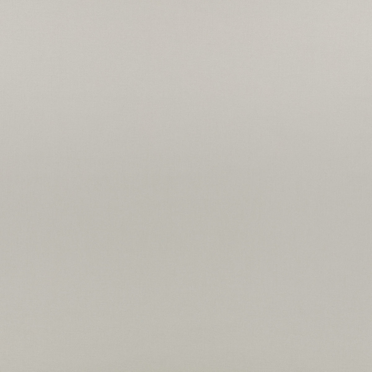 Mark Alexander Lexington Cement fabric
