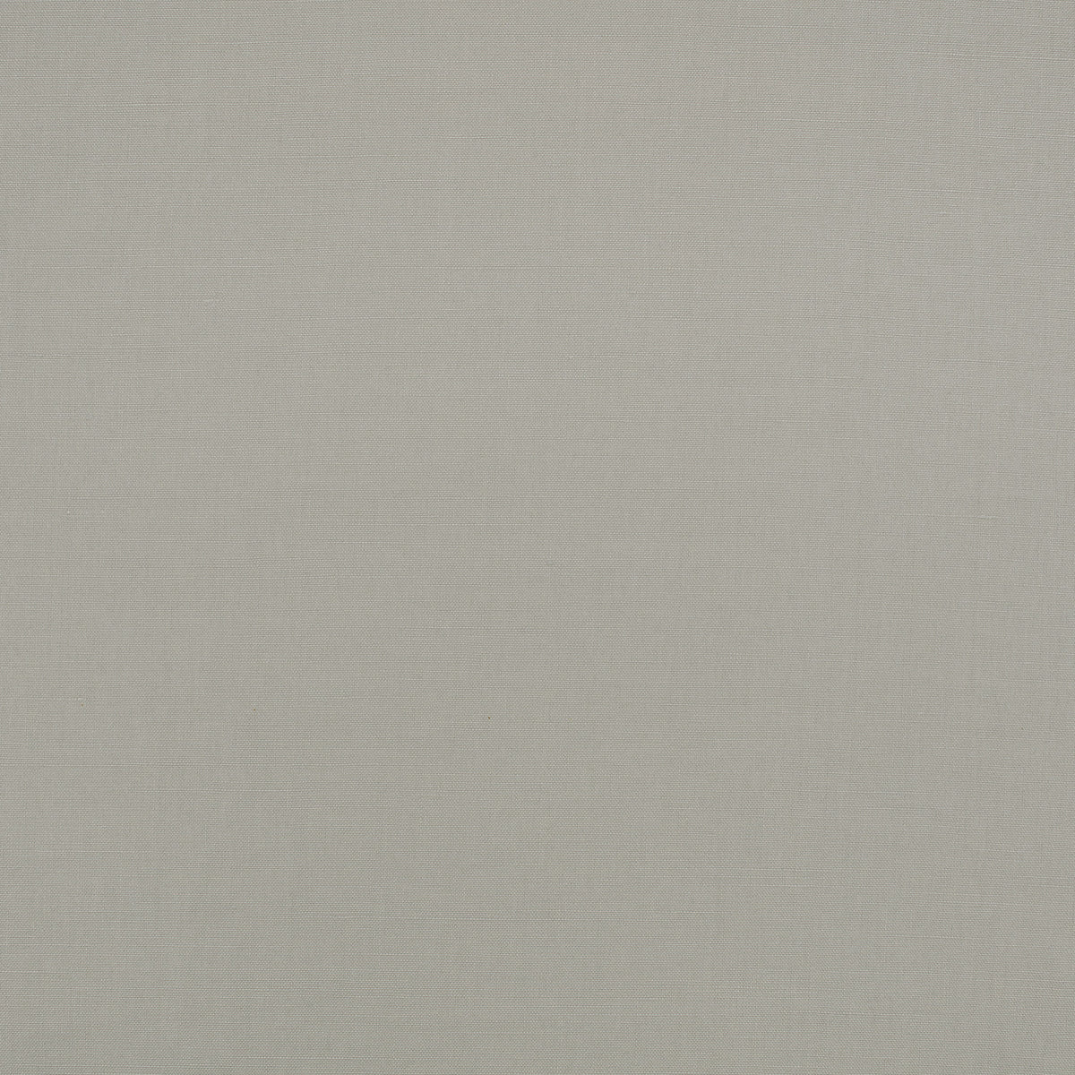 Mark Alexander Flanders Silverbirch fabric