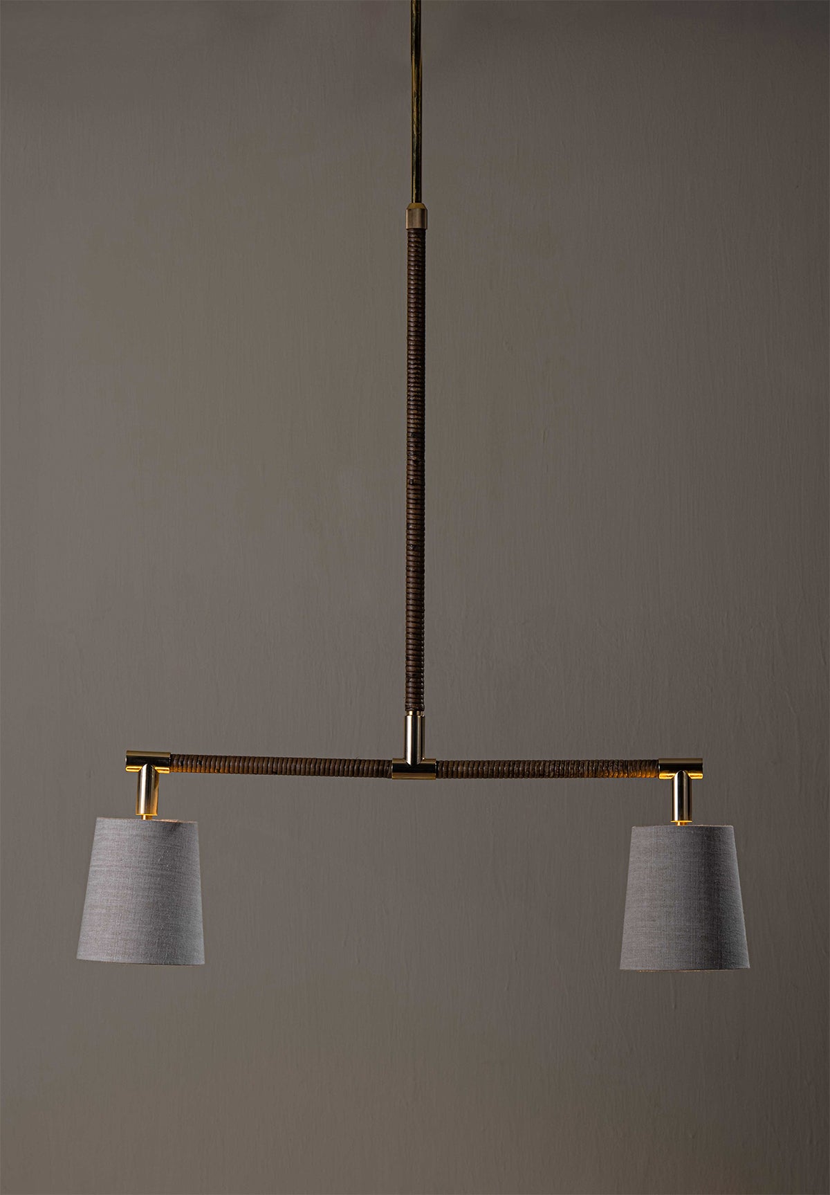 Holden Linear Pendant Downlight - Brass lit