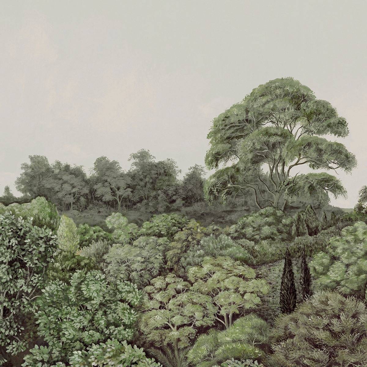 Canopy I - MHP10
