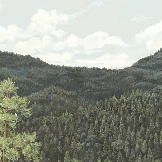 Canopy II - MHP20