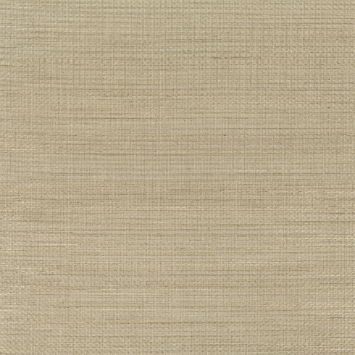 Mark Alexander Abaca Parchment wallpaper