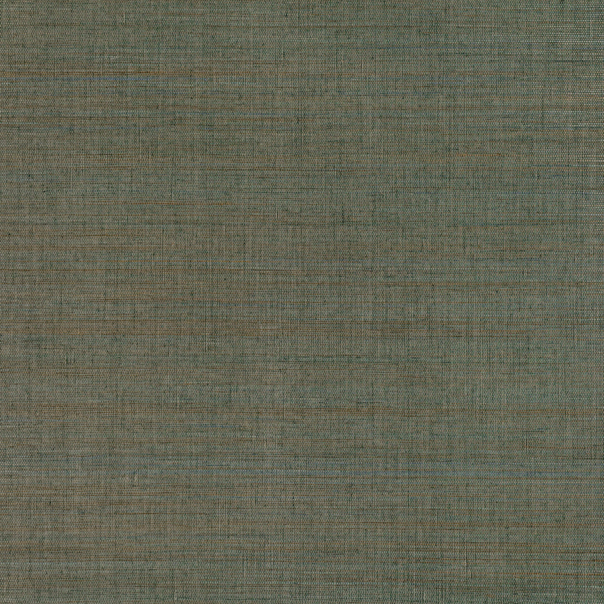 Mark Alexander Duosisal Pimento wallpaper