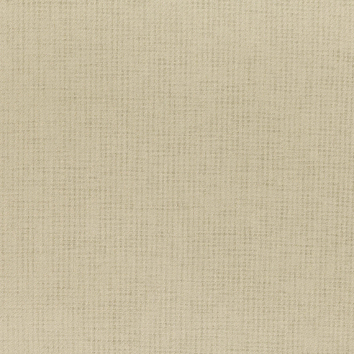 Mark Alexander Papier Putty wallpaper