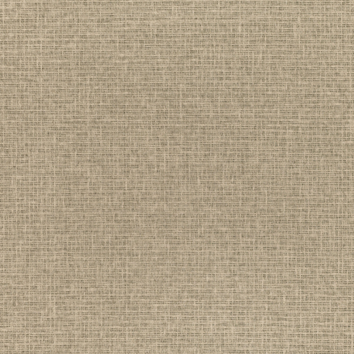 Mark Alexander Shifu Bark wallpaper