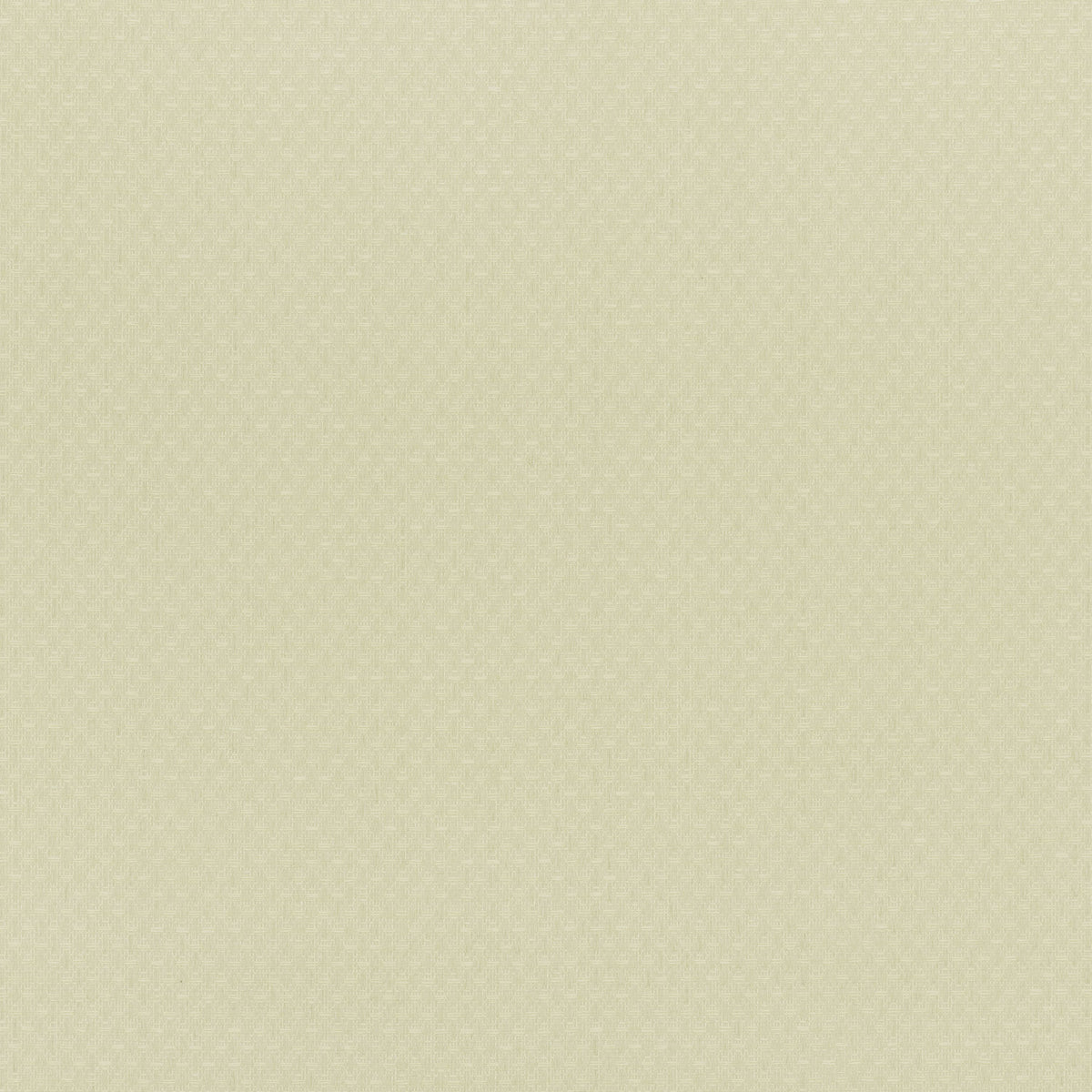 Mark Alexander Shifu Jasmine wallpaper