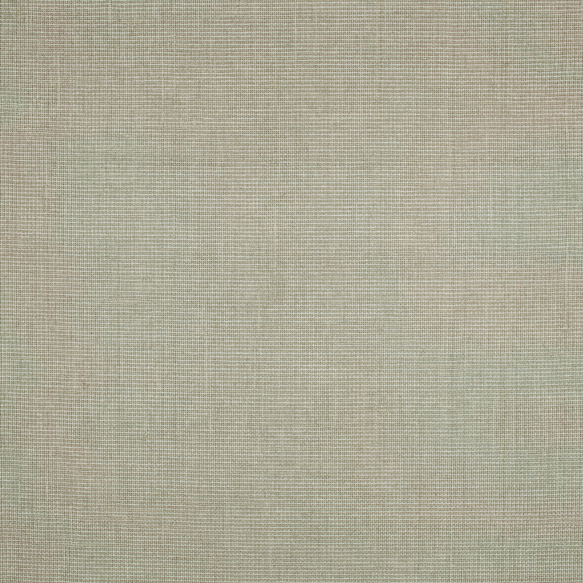Mark Alexander Canvas Greenware wallpaper