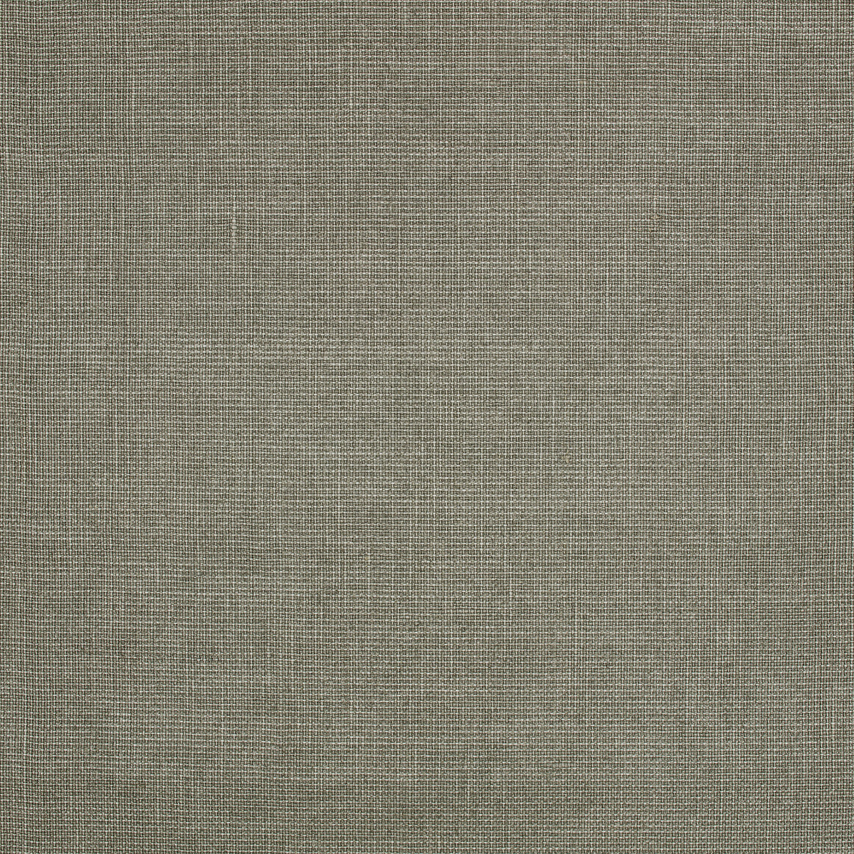 Mark Alexander Canvas Stoneware wallpaper