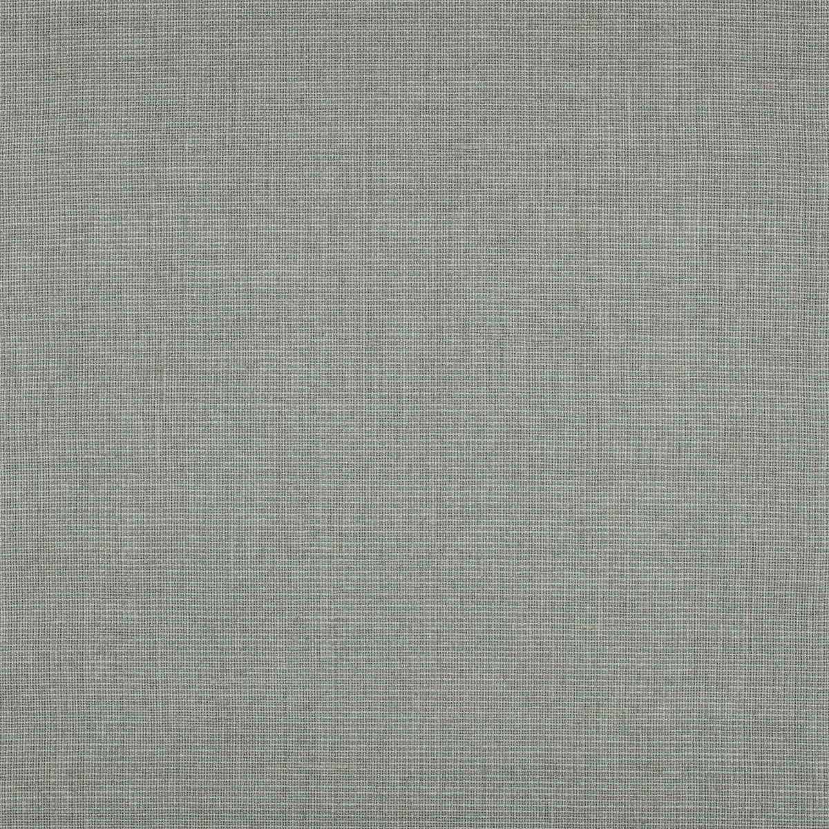 Mark Alexander Canvas Dove wallpaper