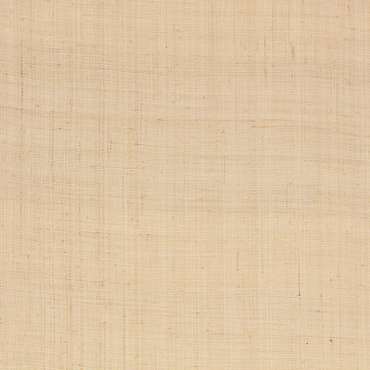Mark Alexander Palm Wallcovering Natural wallpaper