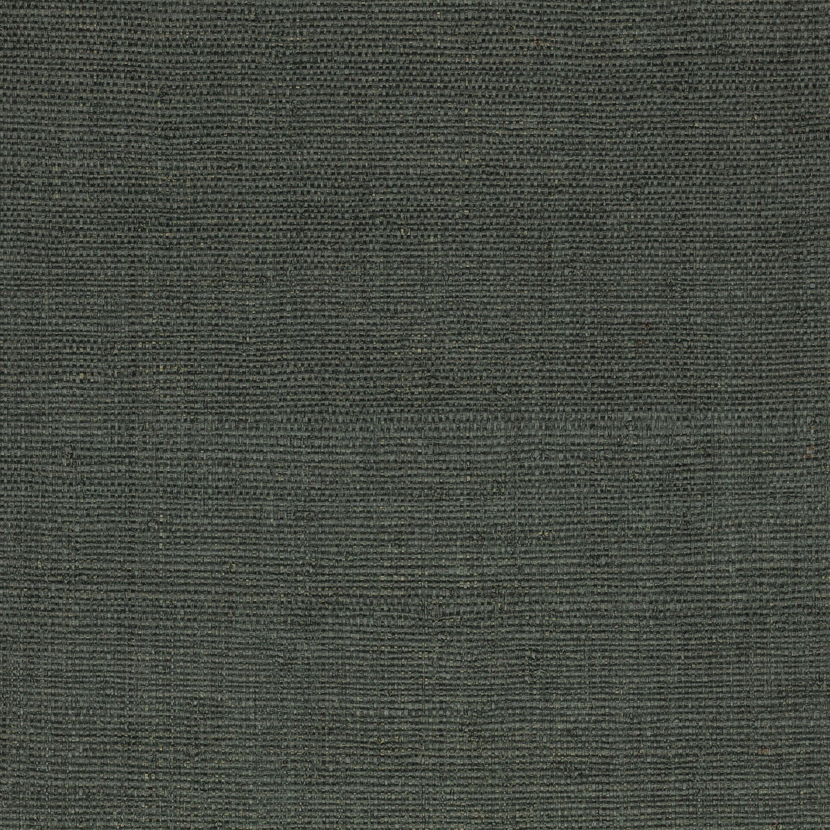 Mark Alexander Palm Wallcovering Typhoon wallpaper