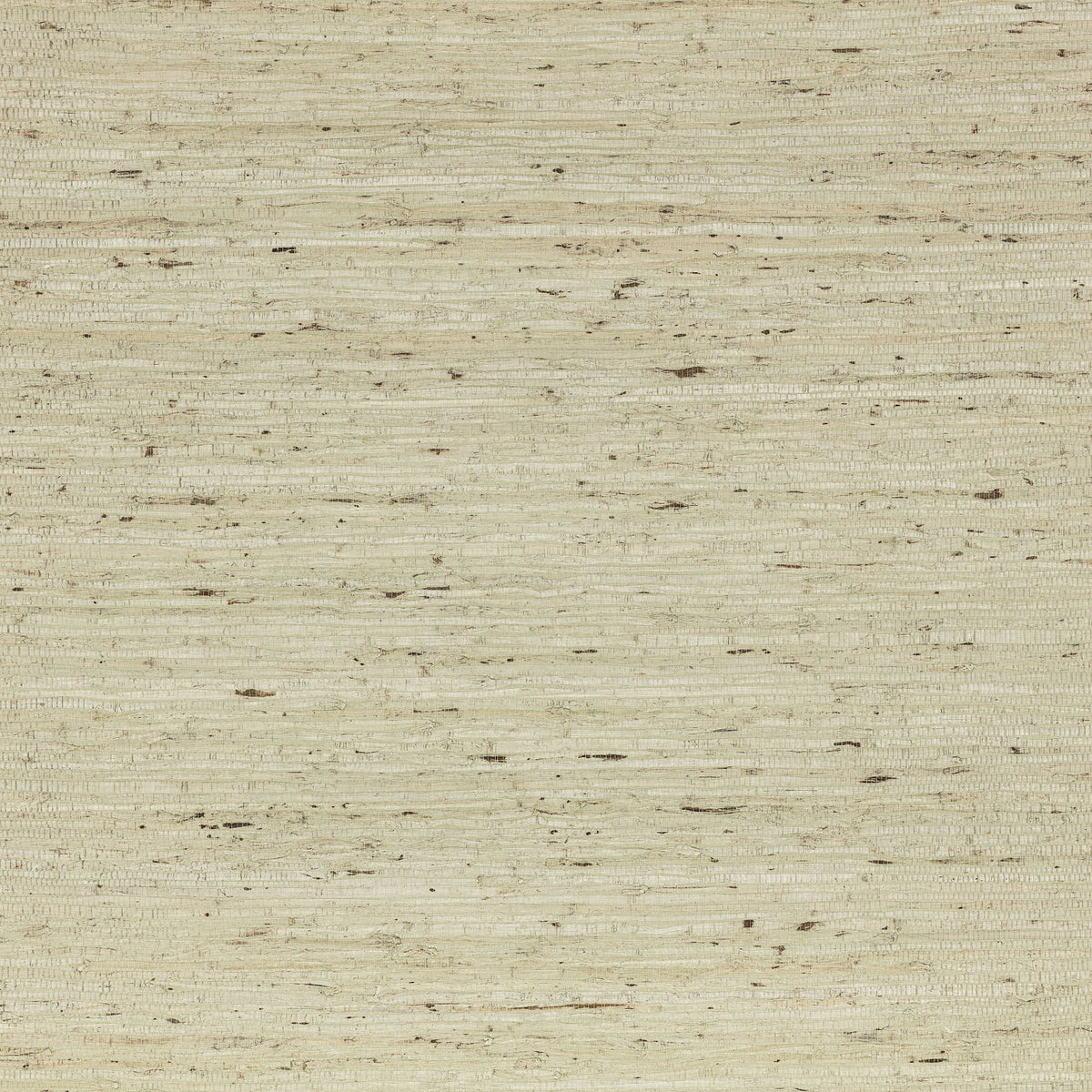 Mark Alexander Arrowroot Wallcovering Pale Celadon wallpaper