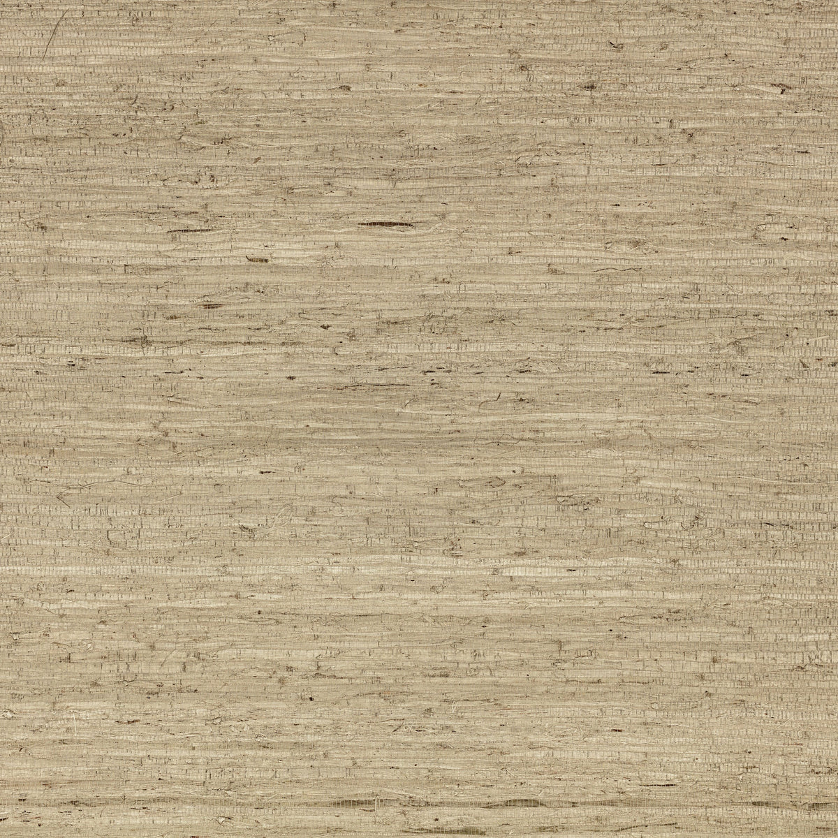 Mark Alexander Arrowroot Wallcovering Parchment wallpaper