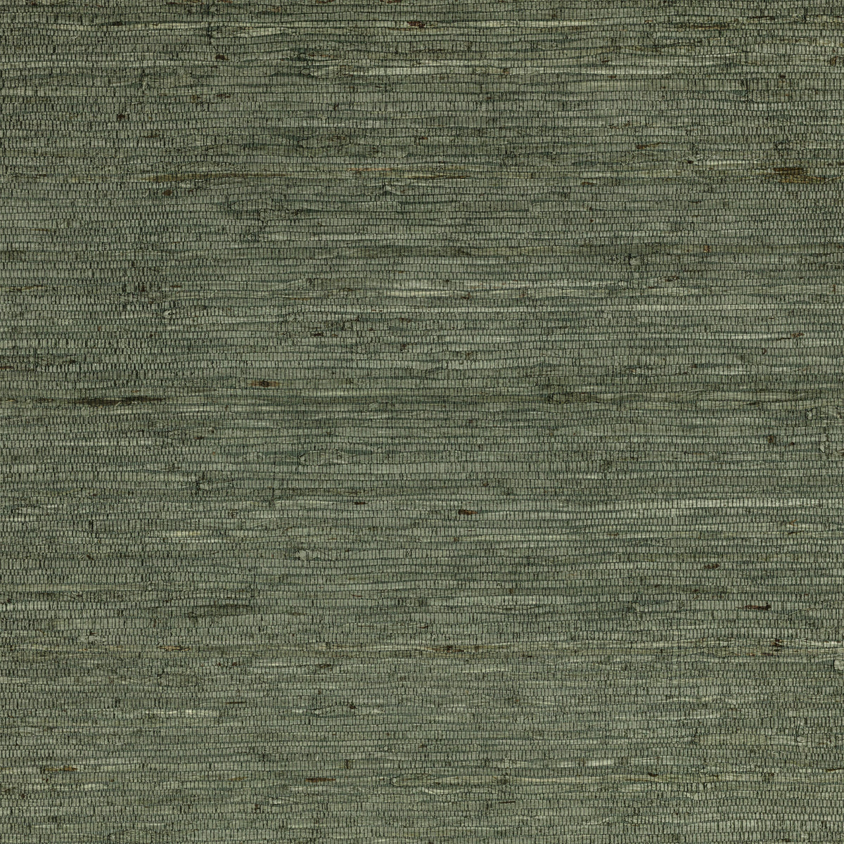 Mark Alexander Arrowroot Wallcovering Typhoon wallpaper