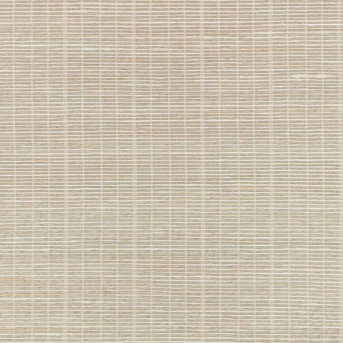 Mark Alexander Partition Wallcovering Powder wallpaper